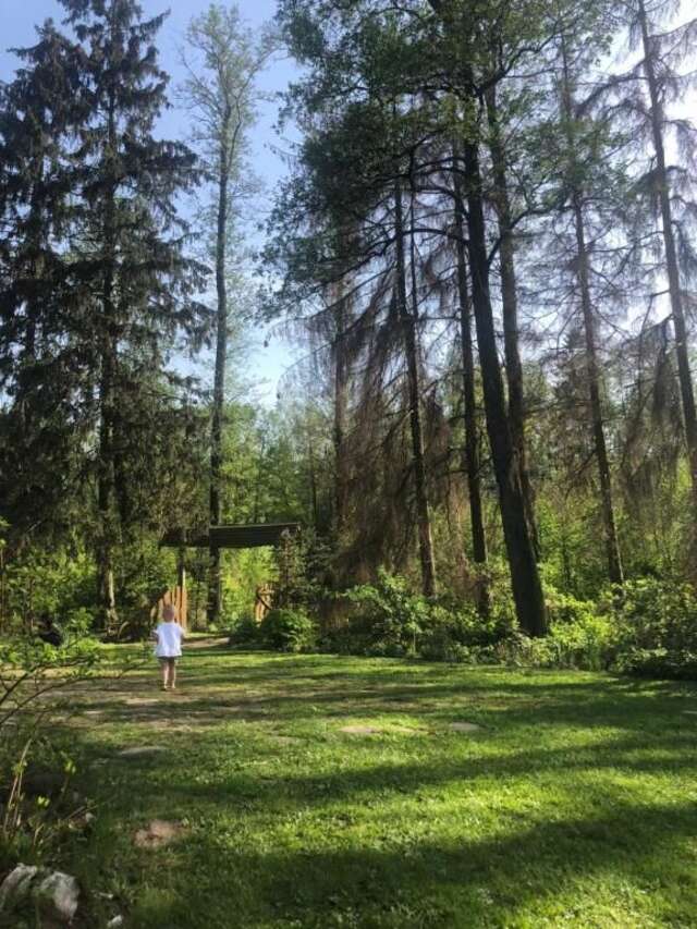 Дома для отпуска Kamienny Młyn Wodny Łowczego Zaborze-102